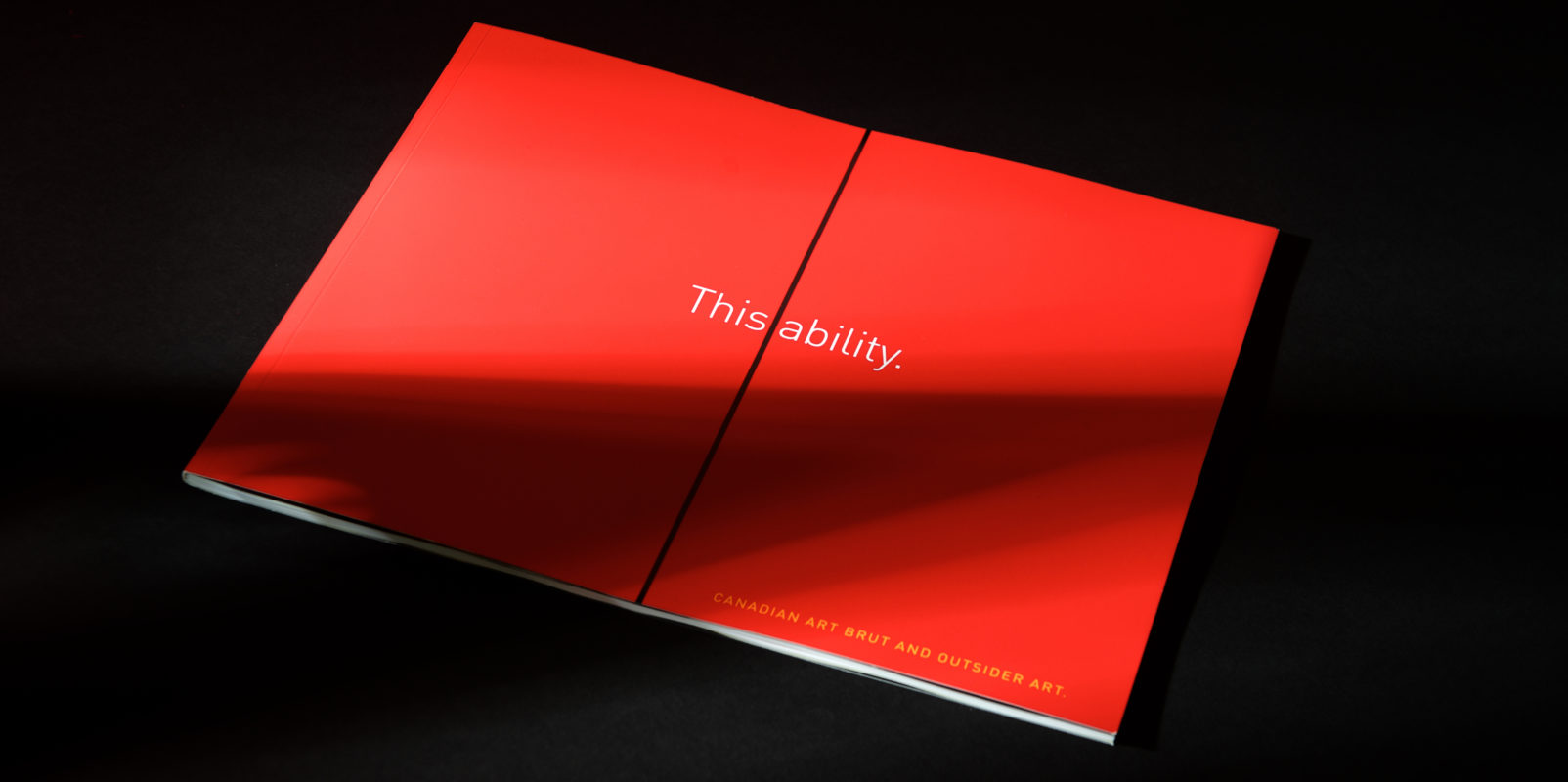ThisAbility_cover is an image of the cover of the book, ThisAbility featuring the words this and ability separated by a vertical black line, all on a red background.